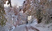 ZUC DI VALBONA - FOTOGALLERY